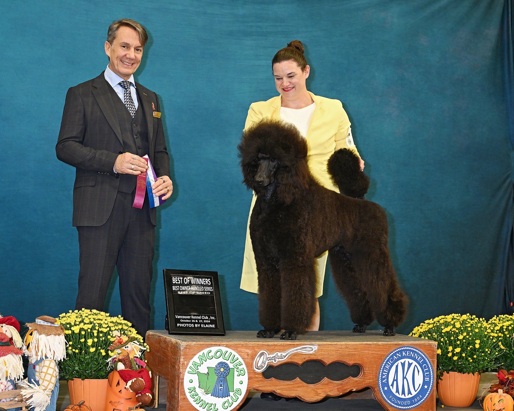Enzo, Best of Winners, Best Owner-Handled, Best of Breed, Vancouver KC 2024