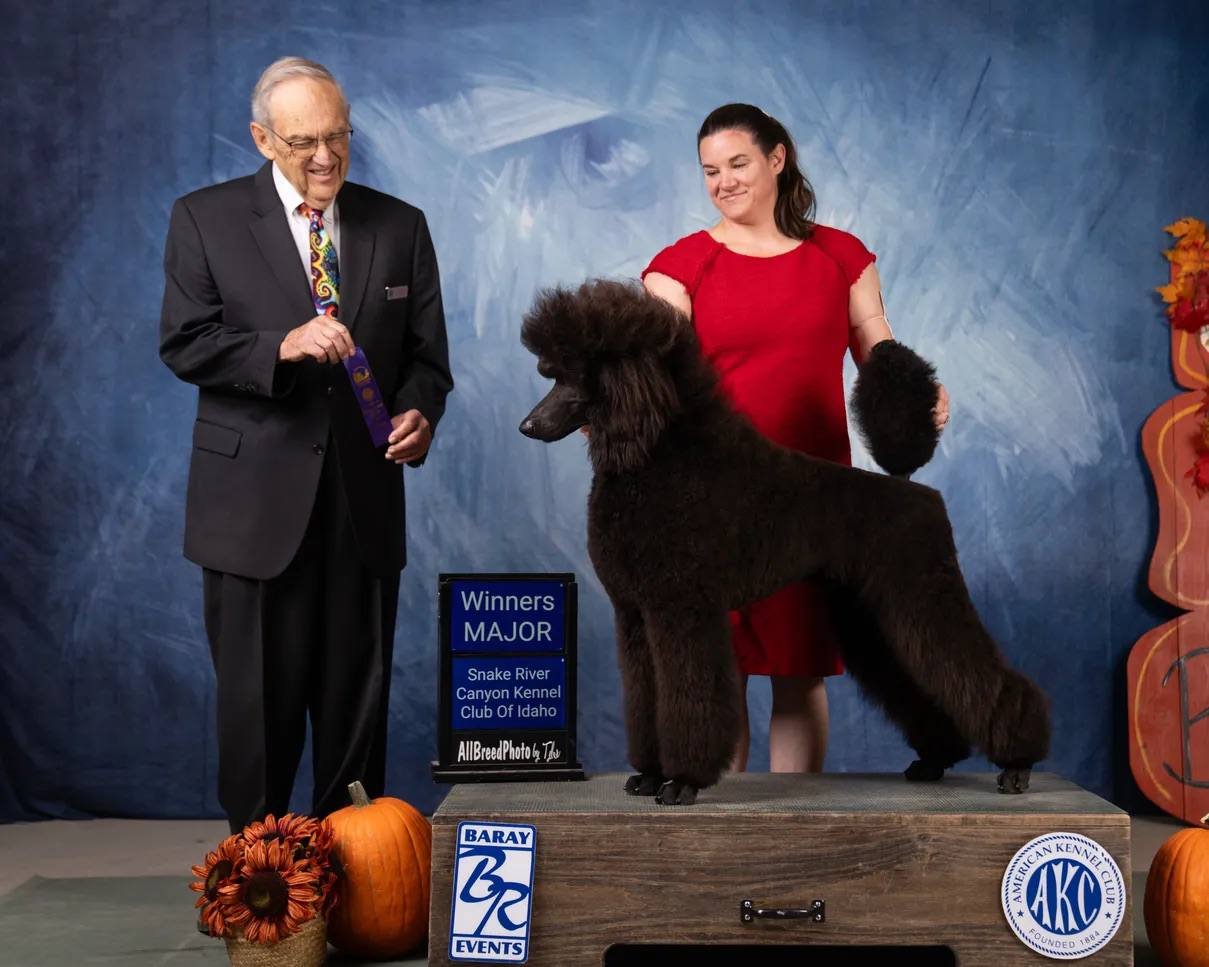 Enzo, Winners Major