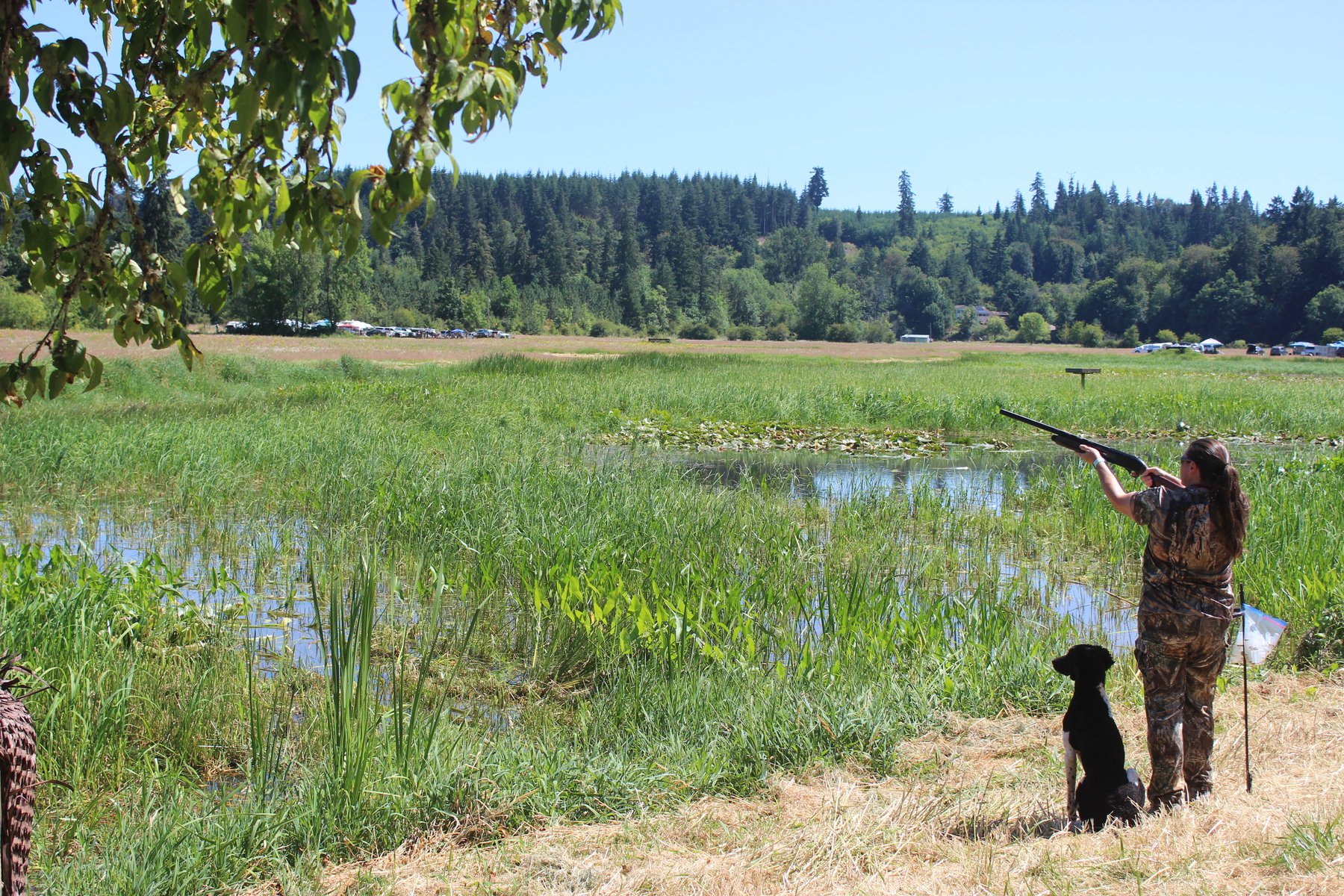 Fonzie hunt test water retrieve