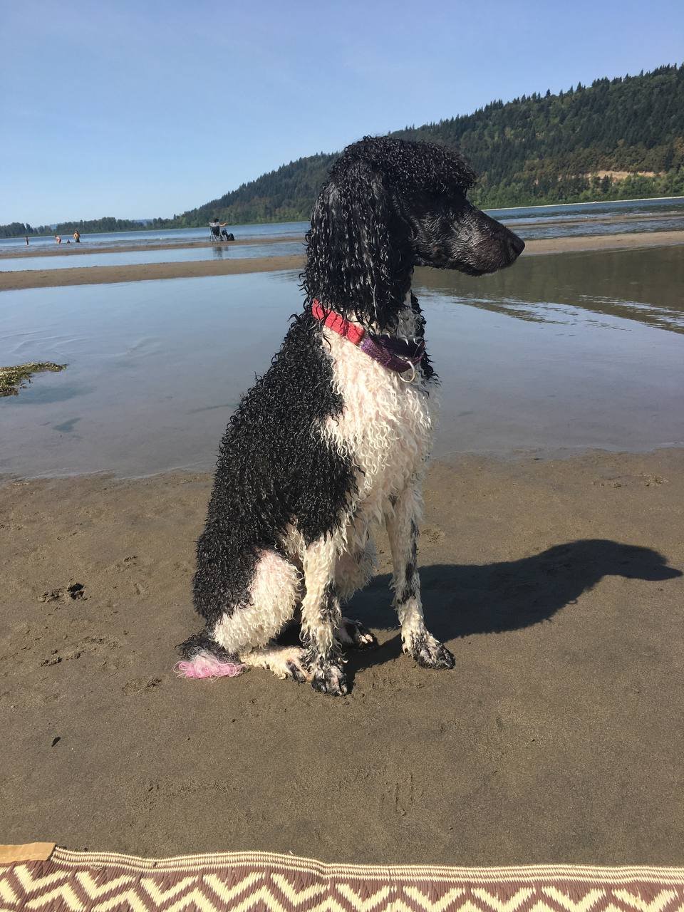 Zena at the beach