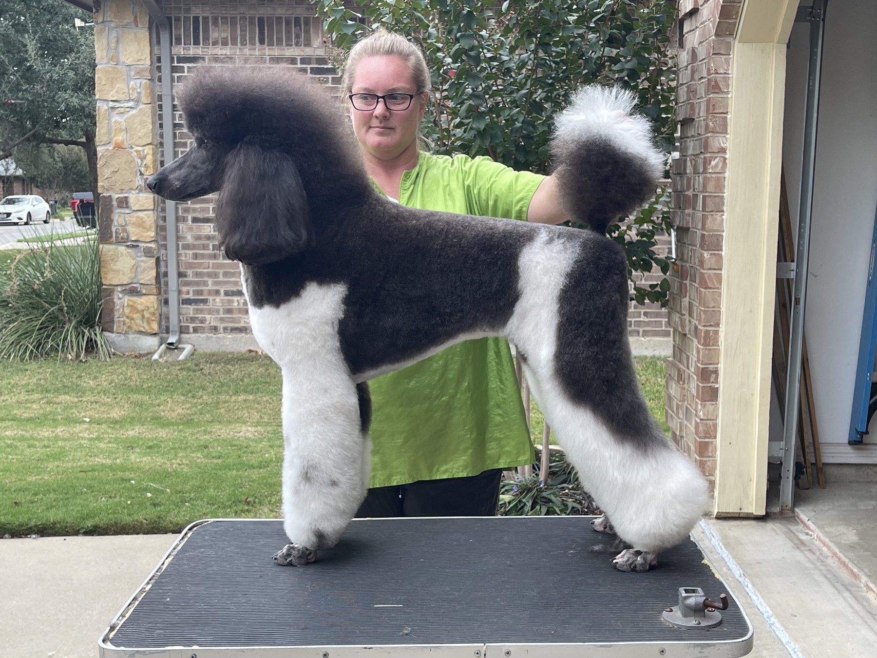 Zena, show stack 2021